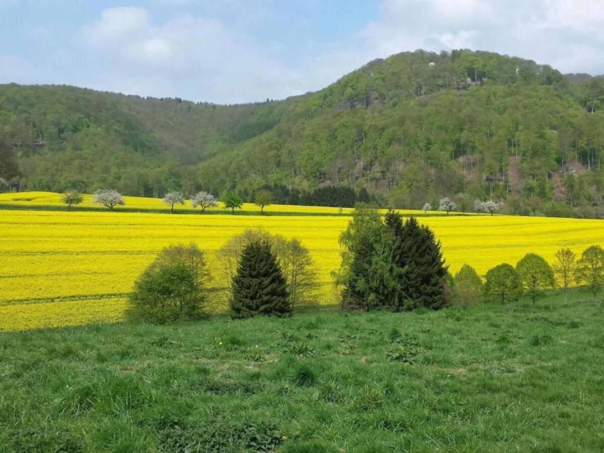Spacious Apartment In Weser Uplands With Garden باد بيرمونت المظهر الخارجي الصورة