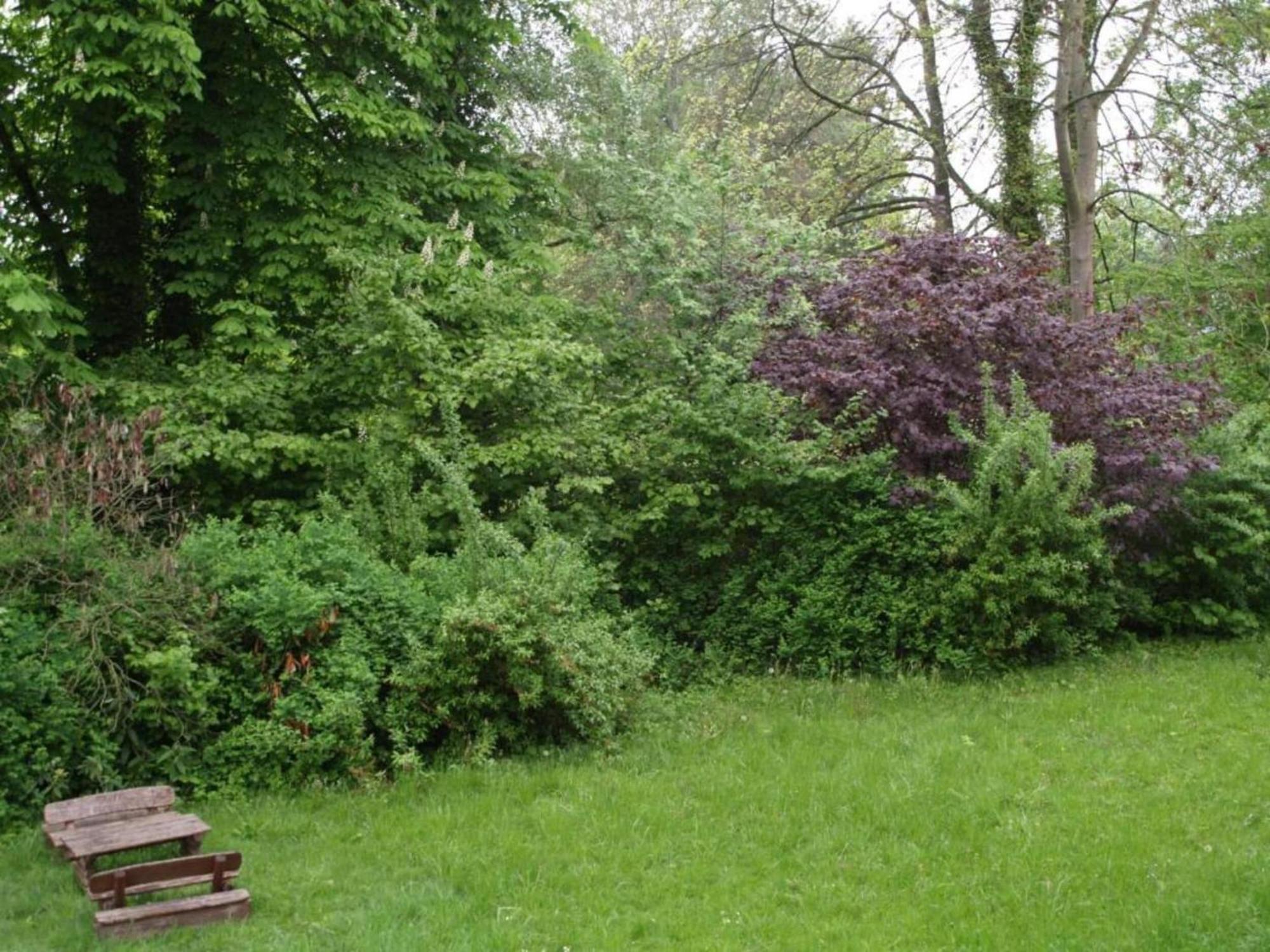 Spacious Apartment In Weser Uplands With Garden باد بيرمونت المظهر الخارجي الصورة